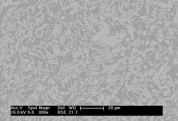 Hot isostatic pressing preparation method of high-density molybdenum-copper alloy