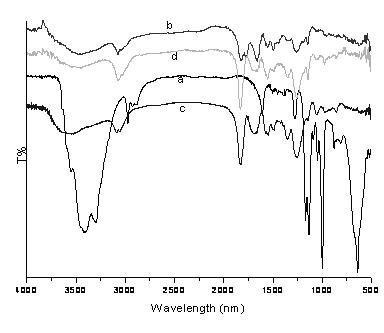 Method for preparing selectively degraded ciprofloxacin photocatalyst