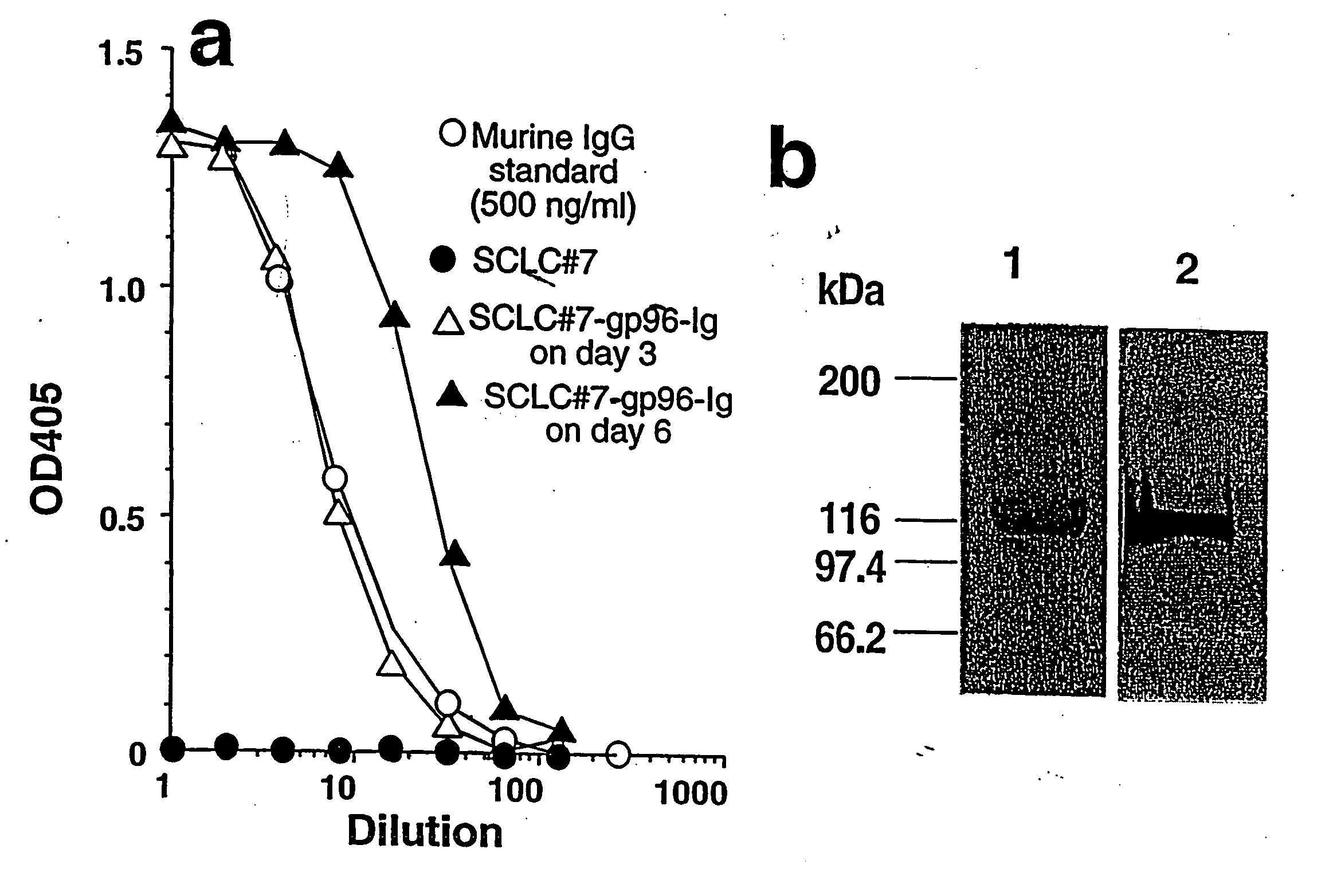 Recombinant cancer cell secreting modified heat shock protein-antigenic peptide complex