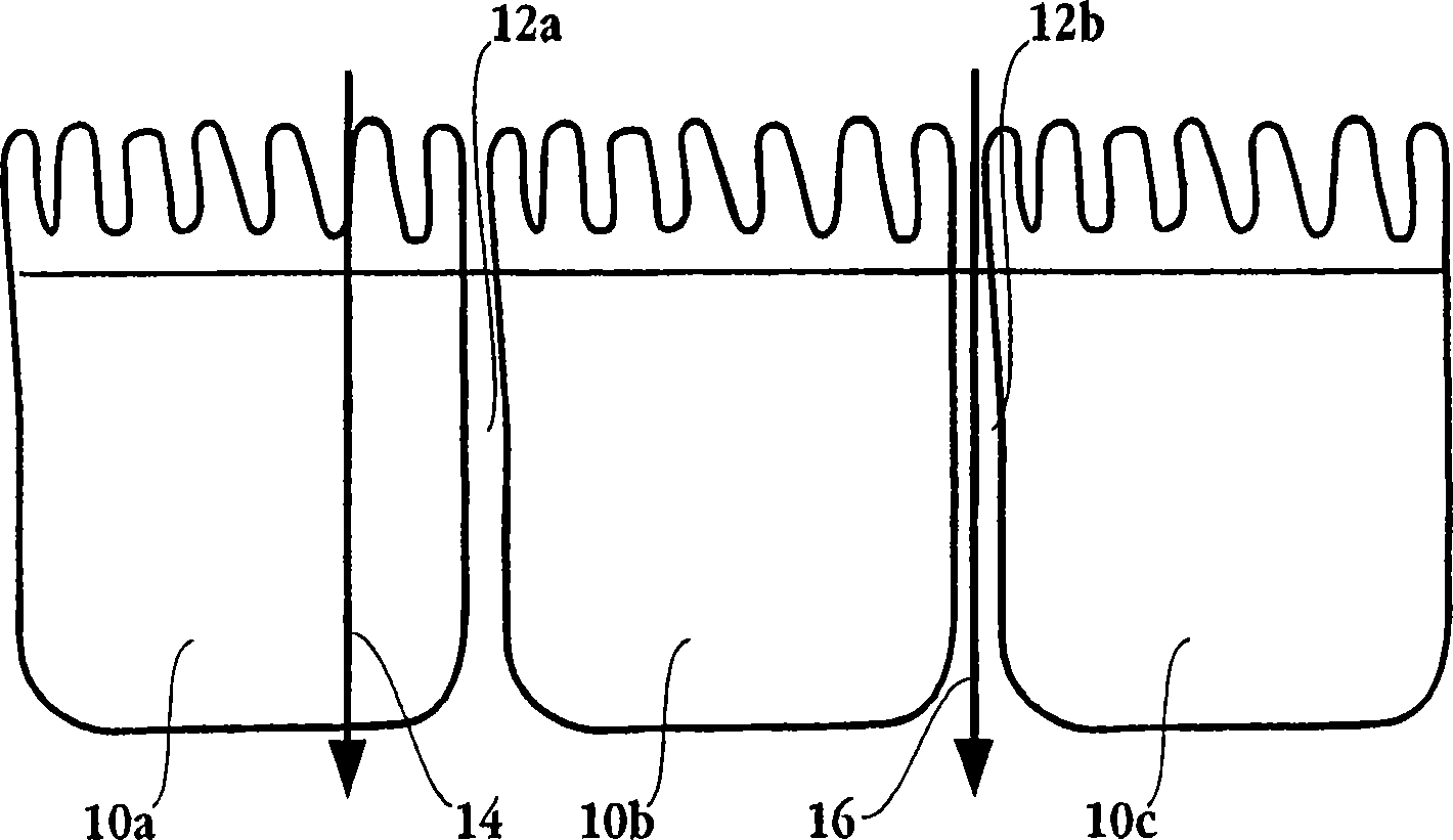 Compositions and dosage forms for enhanced absorption of gabapentin and pregabalin