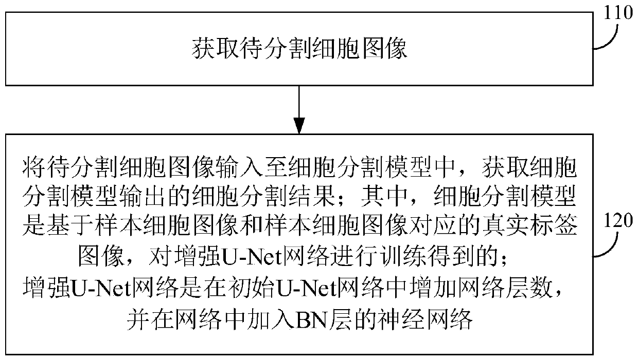 Cell image segmentation method and device