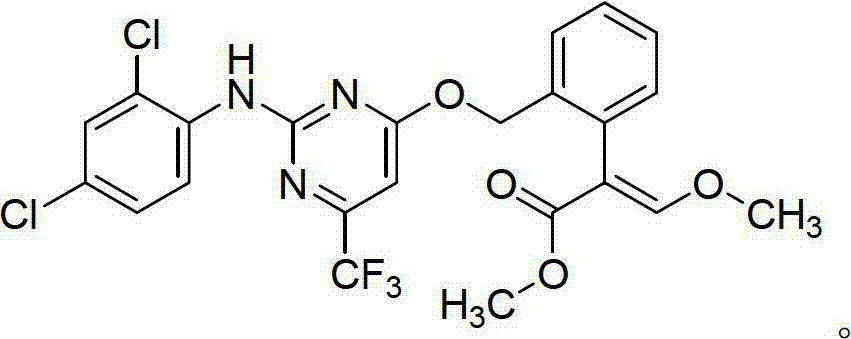 Insecticidal acaricidal composition and application thereof