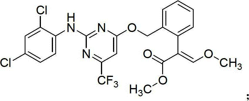 Insecticidal acaricidal composition and application thereof