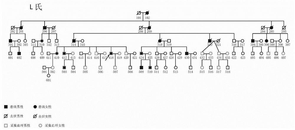 POAG gene detection kit suitable for prenatal noninvasive diagnosis and detection method thereof