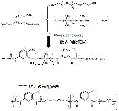 A kind of superhydrophobic/superoleophilic polyurethane oil-absorbing sponge and preparation method thereof