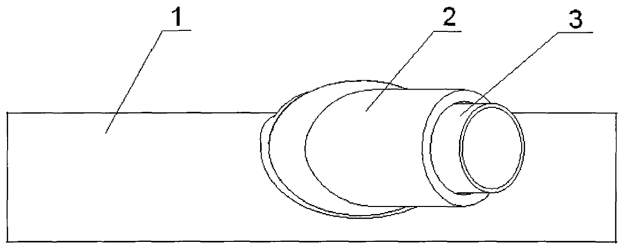 Blood vessel anastomat