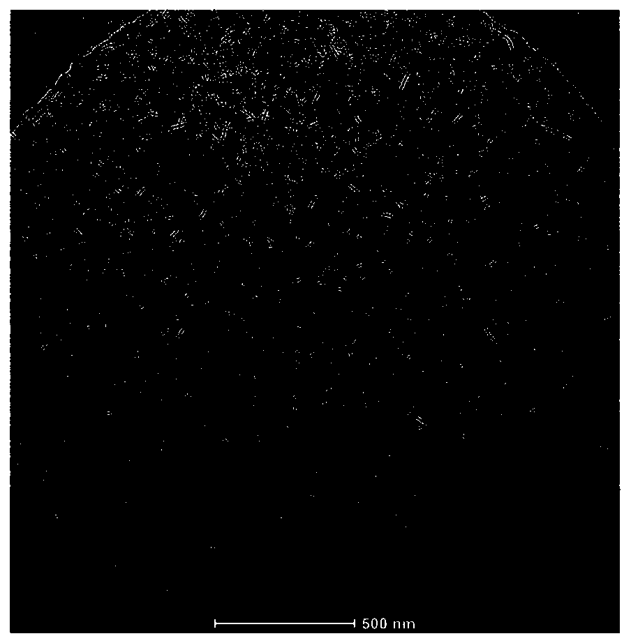 3D bioprinting ink, preparation method of ink, tissue engineering scaffold and preparation method of scaffold