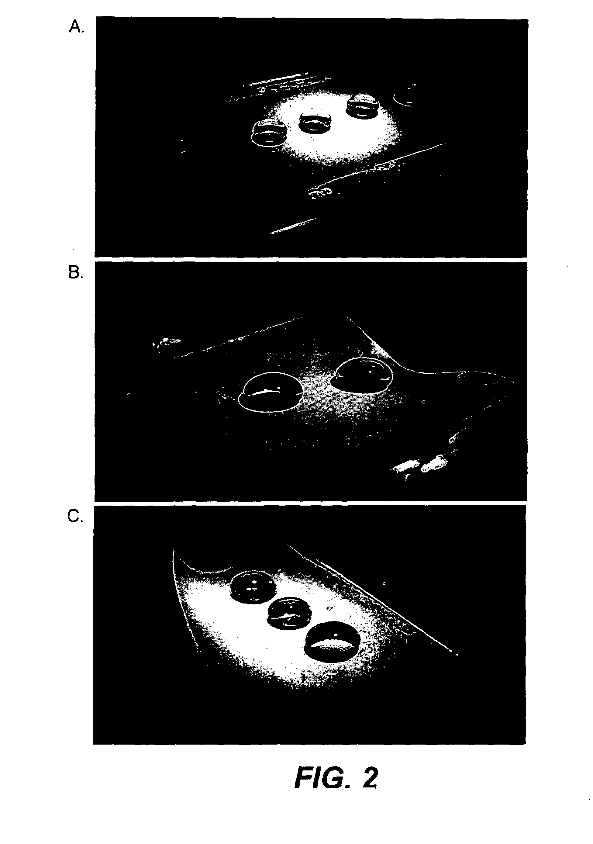 Superhydrophobic and superhydrophilic materials, surfaces and methods