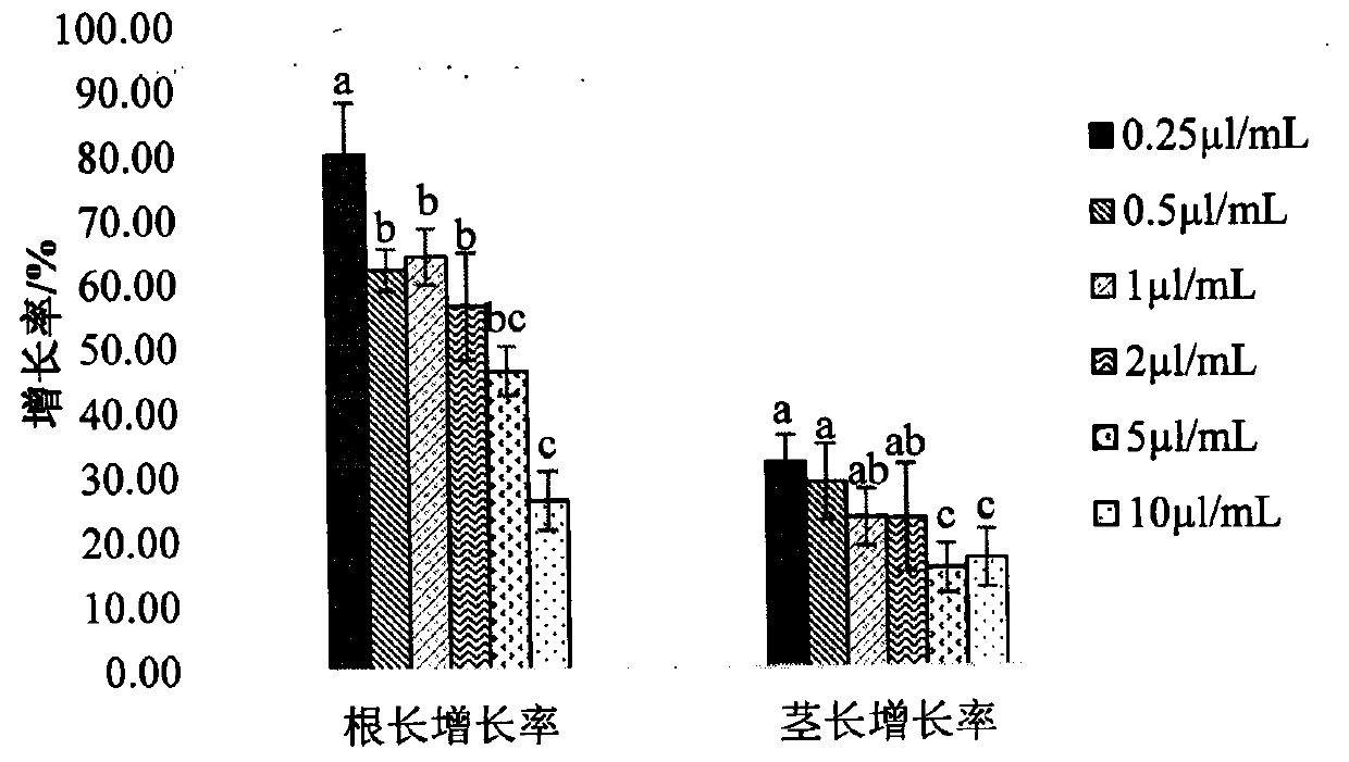 Application of [beta]-myrcene in preparation of medicago sativa drought resistance and growth promotion