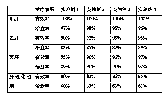 Traditional Chinese medicine preparation for treating hepatitis and preparation method thereof