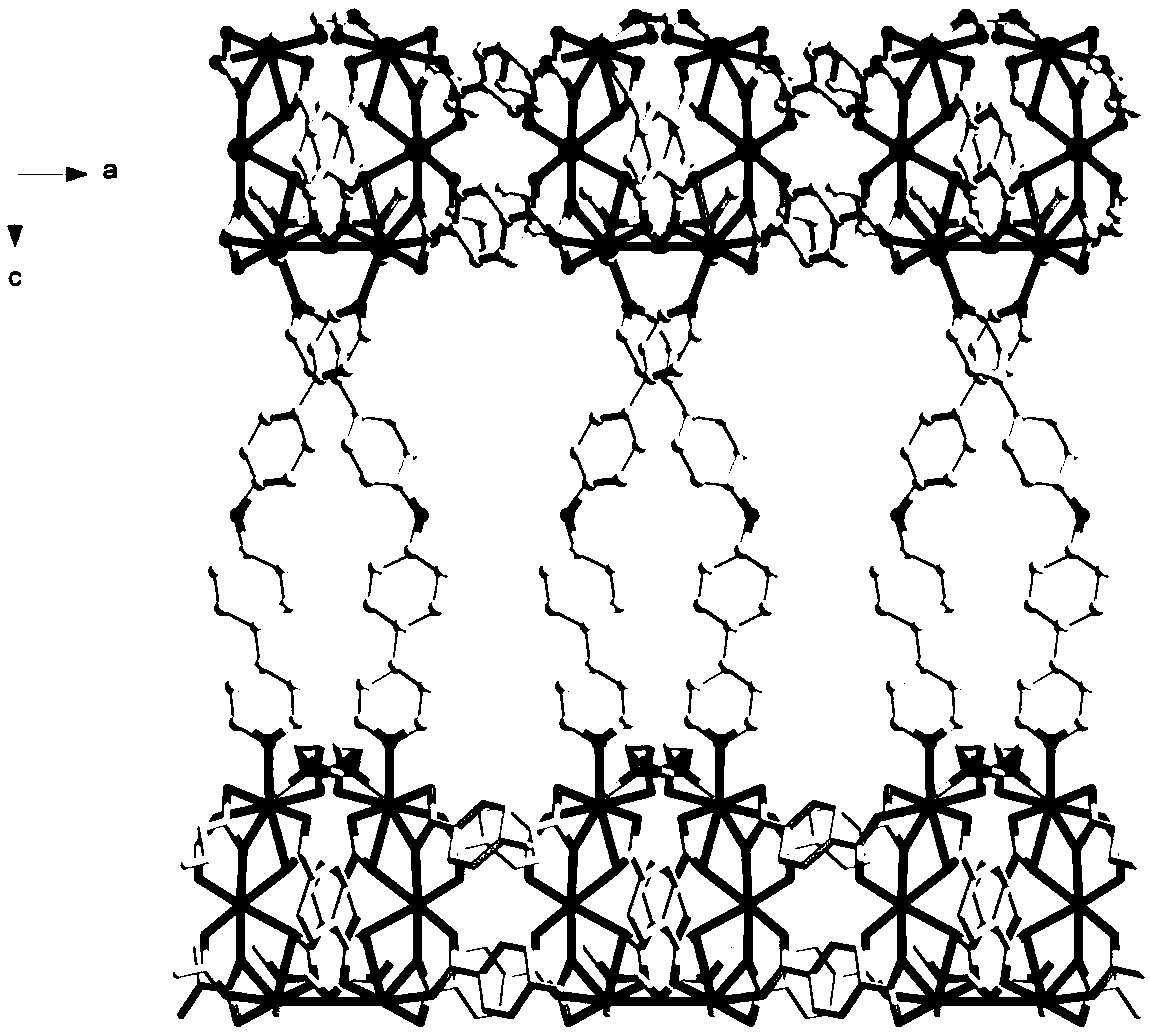 Cadmium metal organic complex with fluorescence property as well as preparation method and application thereof