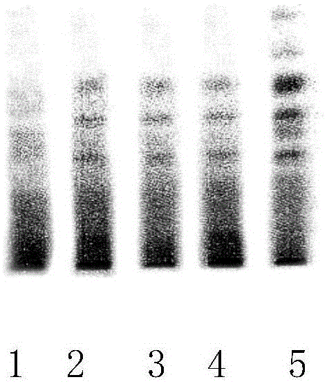 Method for detecting newly increased detection components in traditional Chinese medicinal Tang Herb for treating AIDS