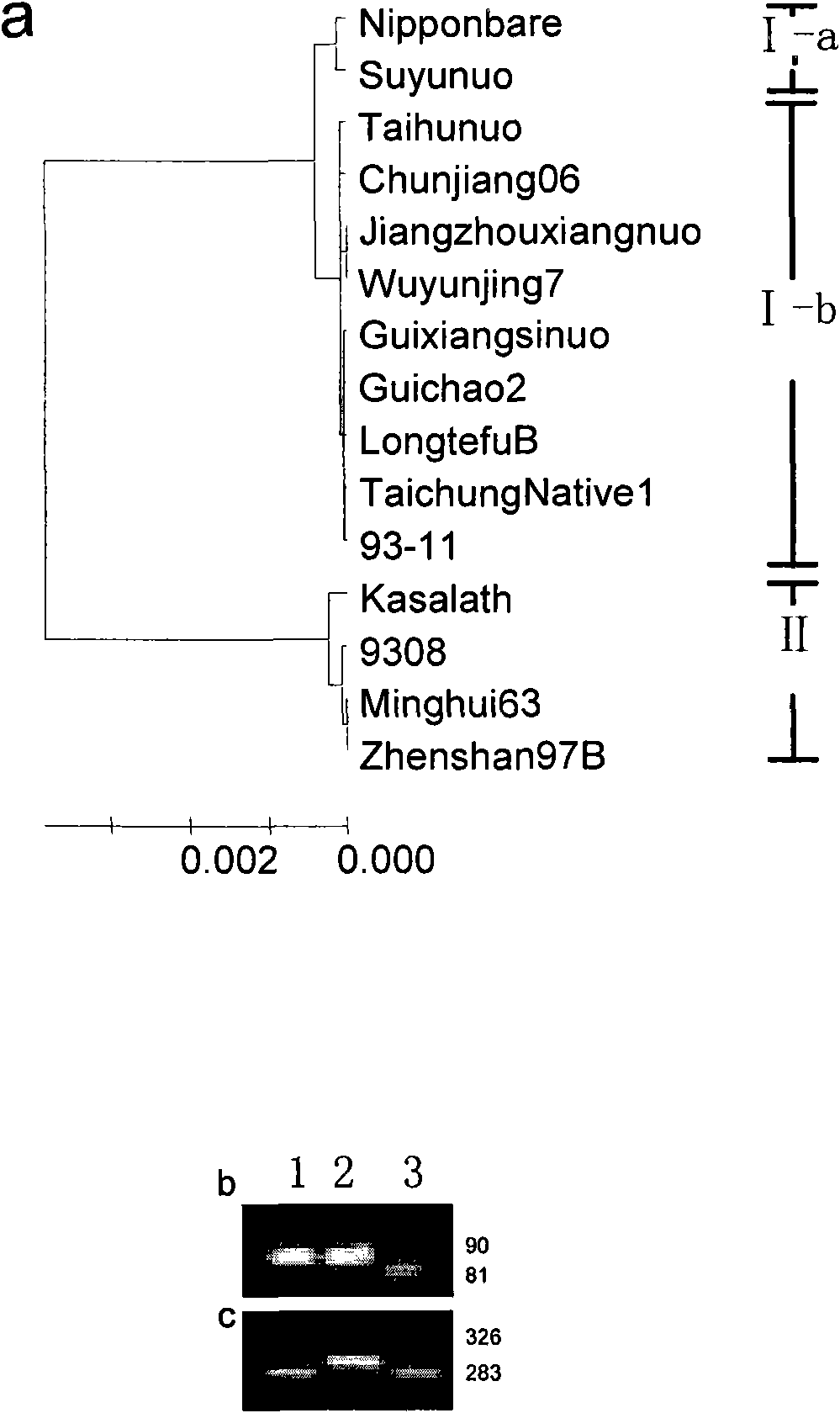 Molecular marker of gene for regulating gelatinization temperature of rice and application thereof