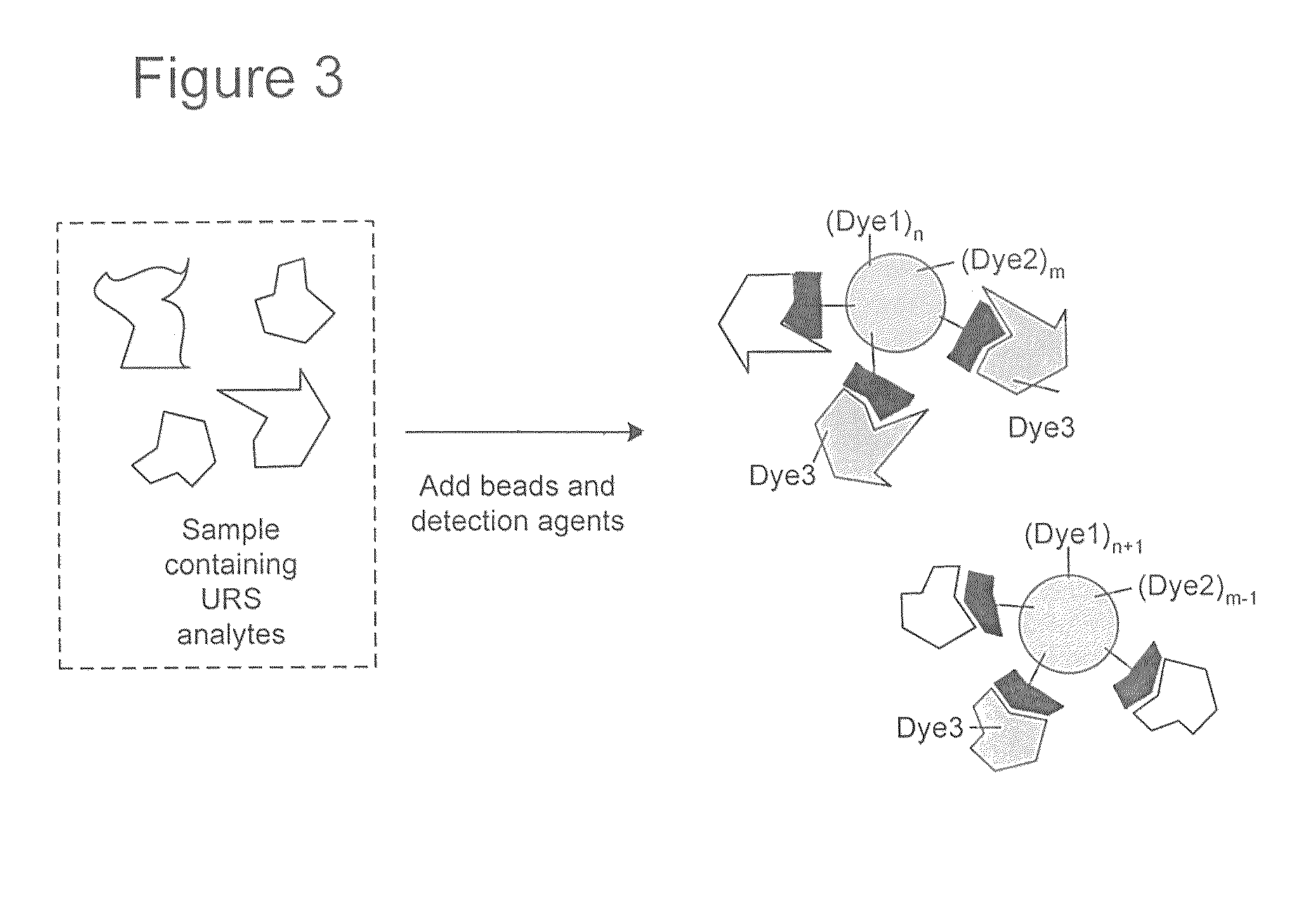 Proteome epitope tags and methods of use thereof in protein modification analysis