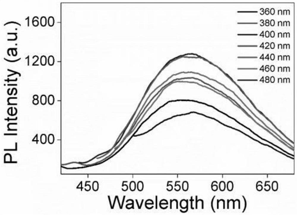 Preparation and application of carbon dots for detecting progesterone