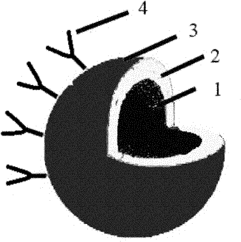 Nano complex particles with targeted MR (magnetic resonance) development and photothermal therapy performance and preparation method thereof