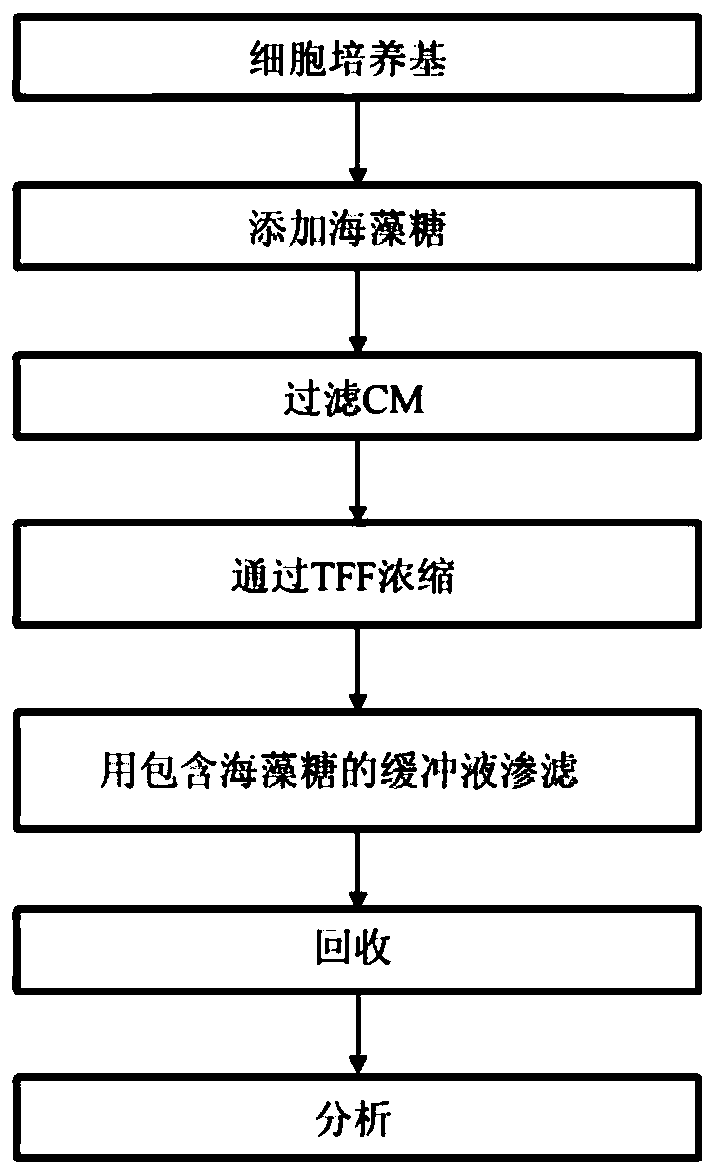 Use of composition comprising stem cell-derived exosome as effective ingredient for prevention or alleviation of pruritus