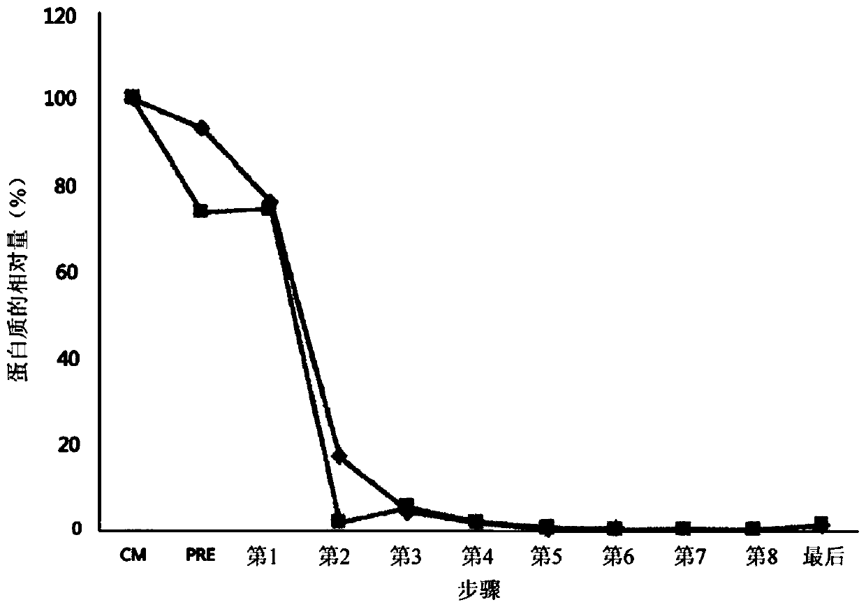 Use of composition comprising stem cell-derived exosome as effective ingredient for prevention or alleviation of pruritus