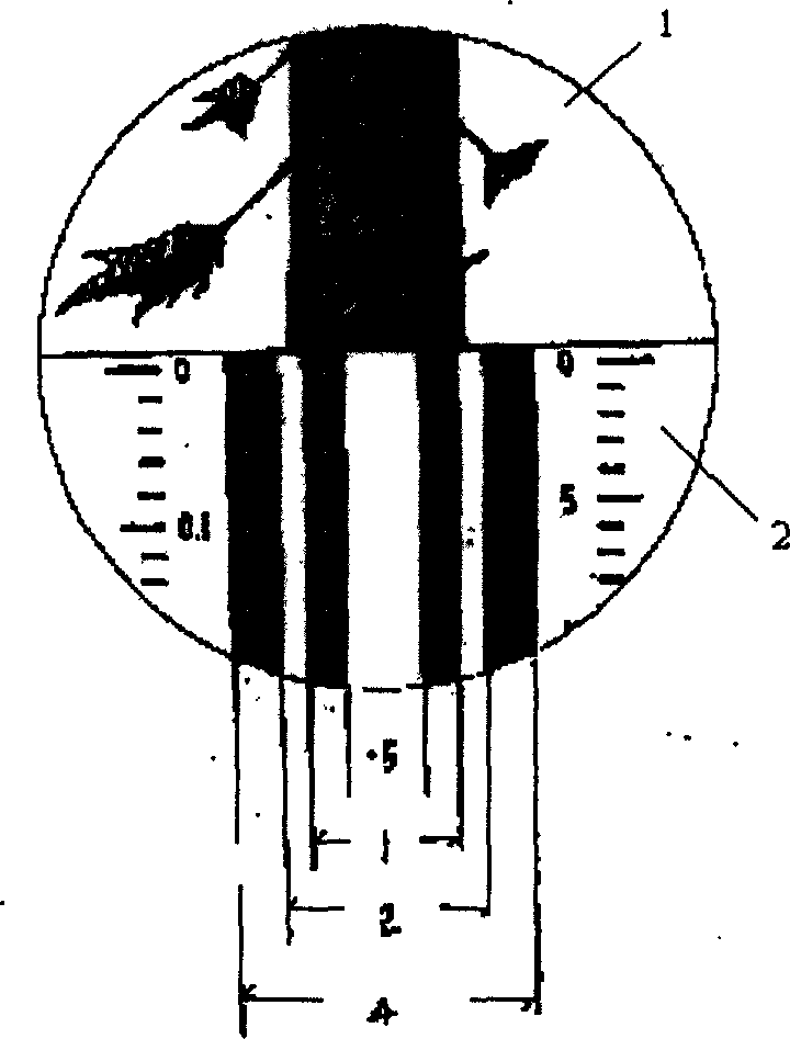 Electronic angle gauge tree surveying apparatus and automatic tree survey method