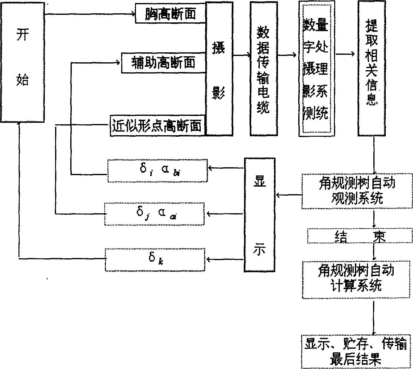 Electronic angle gauge tree surveying apparatus and automatic tree survey method