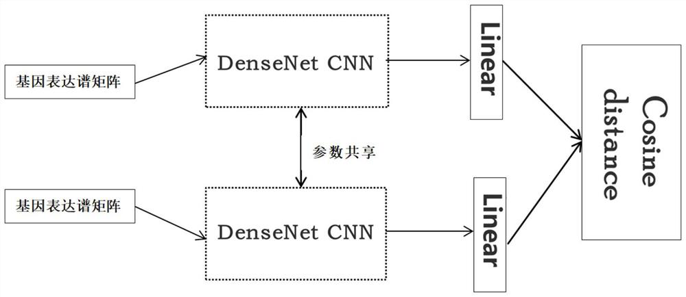 A distance measurement method for gene expression profiles based on deep learning