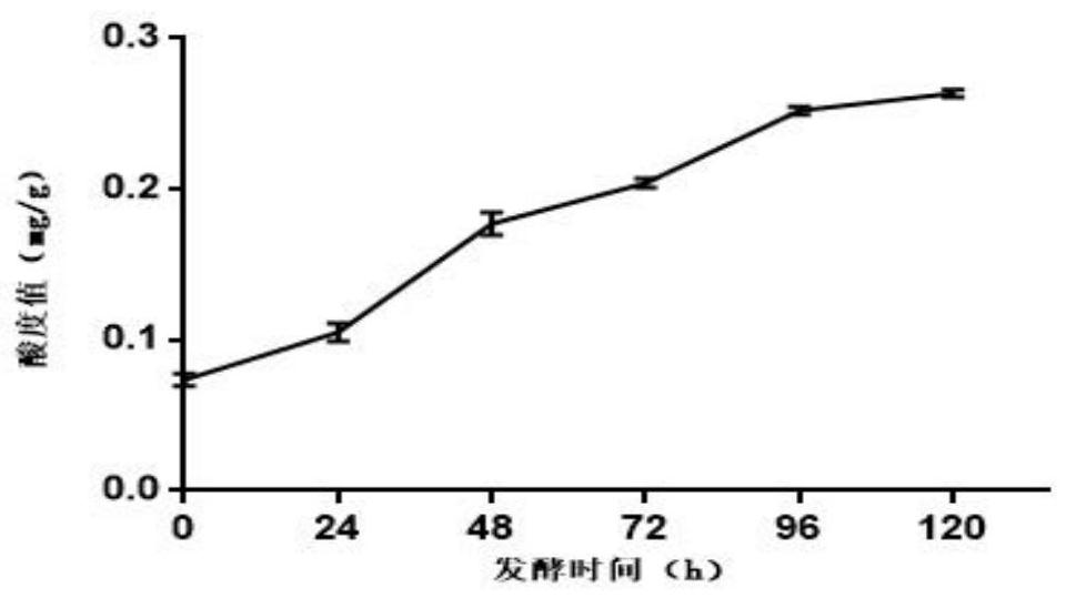 Mulberry fermentation product as well as preparation method and application thereof