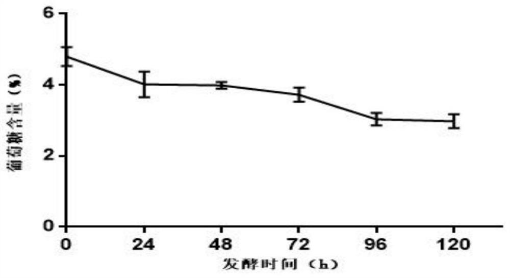 Mulberry fermentation product as well as preparation method and application thereof