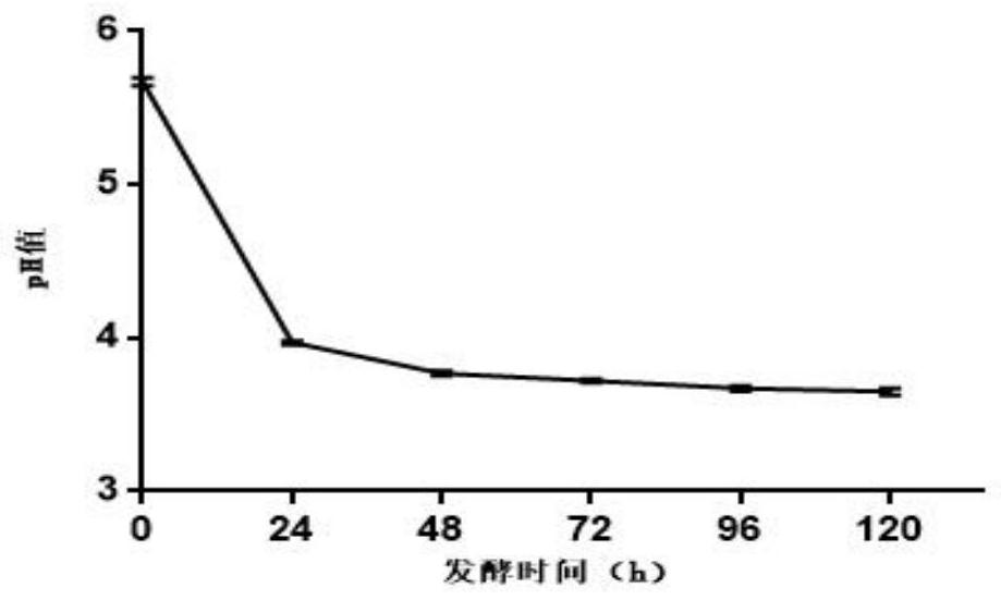 Mulberry fermentation product as well as preparation method and application thereof