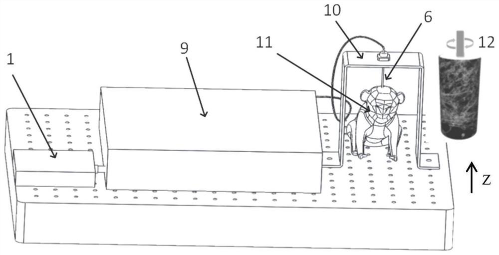 Panoramic rotary endoscopic two-photon microscopic imaging system