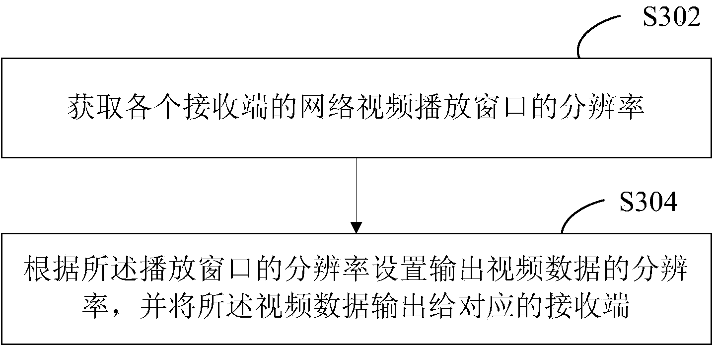 Network video transmission method and system, sending/receiving end processing method and device