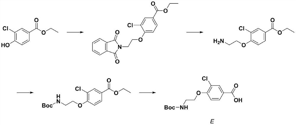 Molecular probe derived from calcium-sensitive receptor protein antagonist and application of molecular probe in parathyroid gland resection surgery