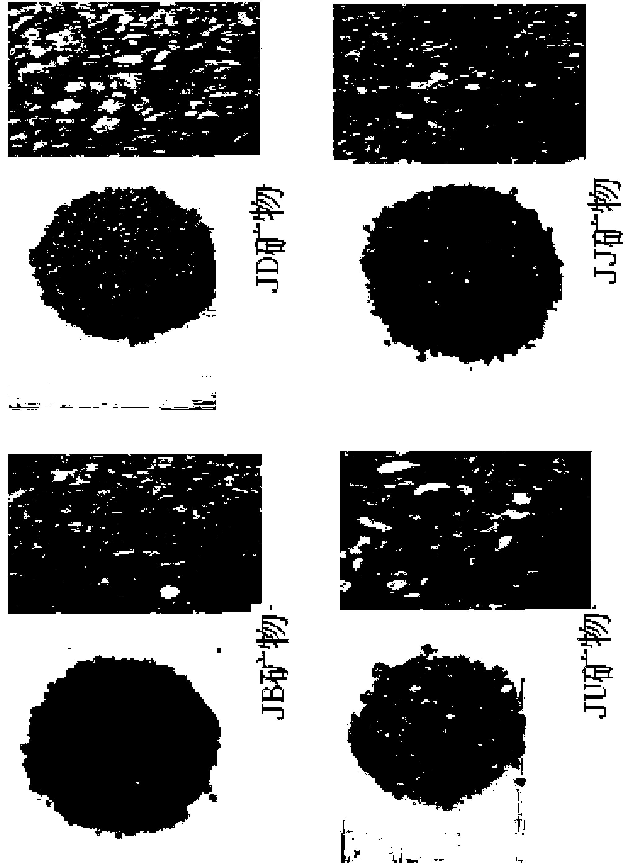 Composition containing natural minerals and the water extracted therefrom as active ingredients