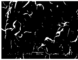 Preparation method of medical implant material porous niobium