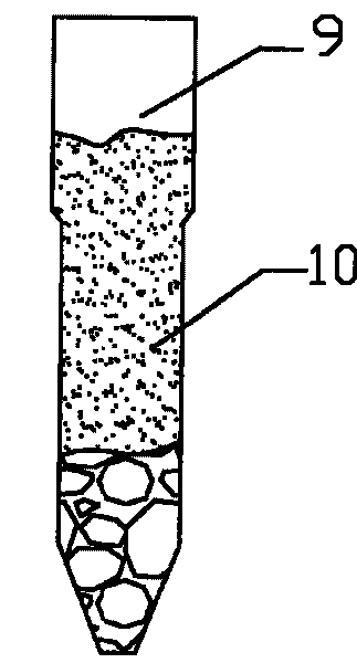 Cultivation method and apparatus for sea asparagus