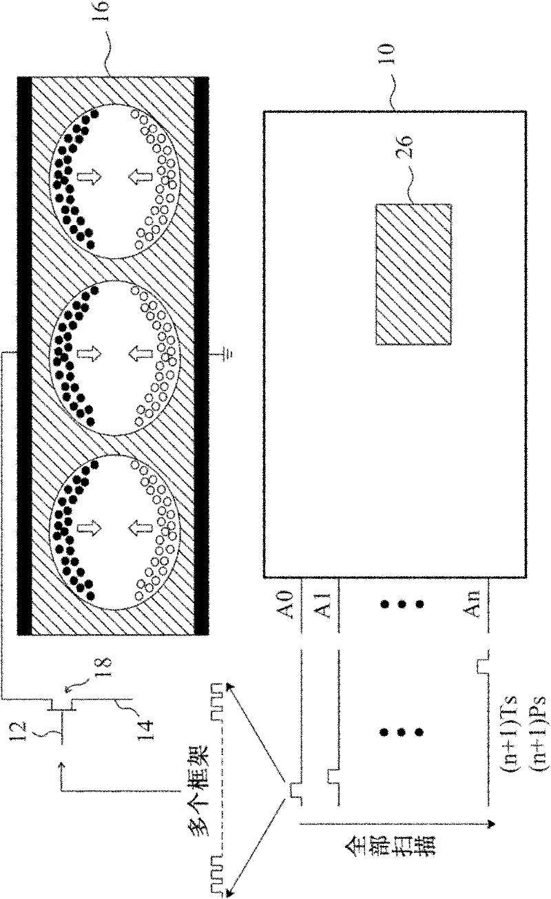 Electrophoretic display and image updating method thereof