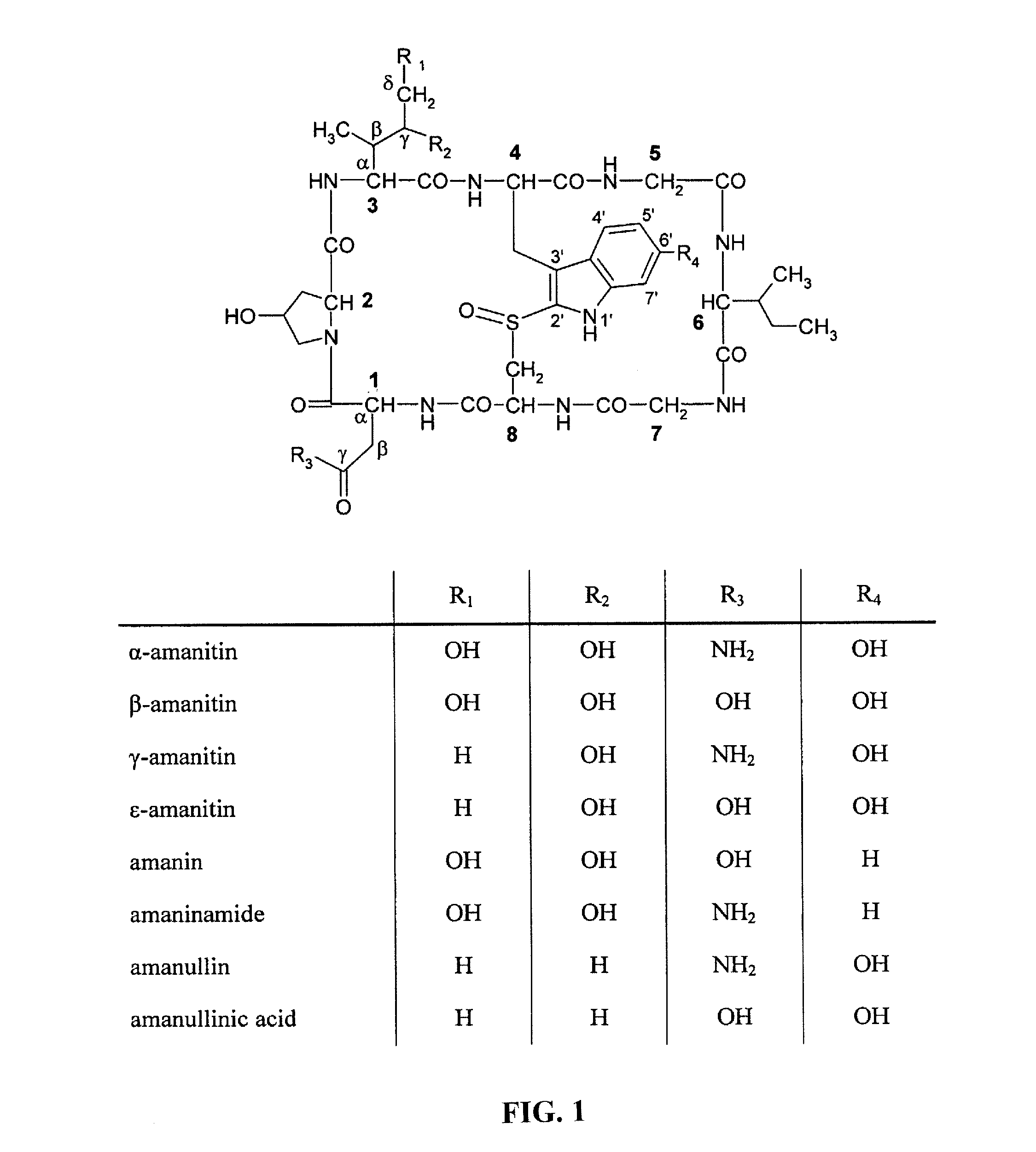 Amatoxin-armed therapeutic cell surface binding components designed for tumour therapy