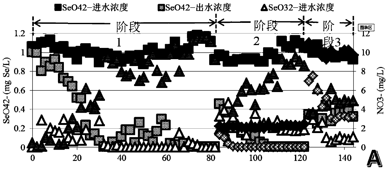 Method for assessing the ability of methane substrate MBFR to reduce selenate and nitrate