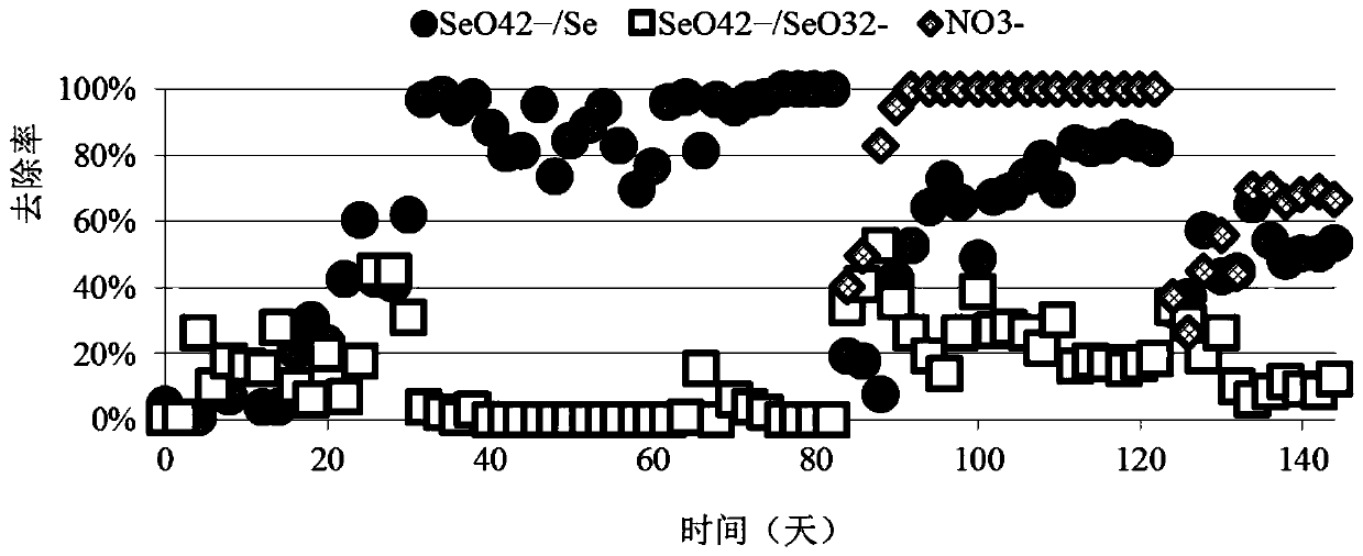 Method for assessing the ability of methane substrate MBFR to reduce selenate and nitrate