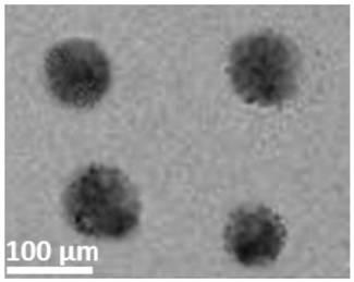 Small molecule-polymer conjugate self-assembled drug-loaded nanoparticles and preparation method thereof