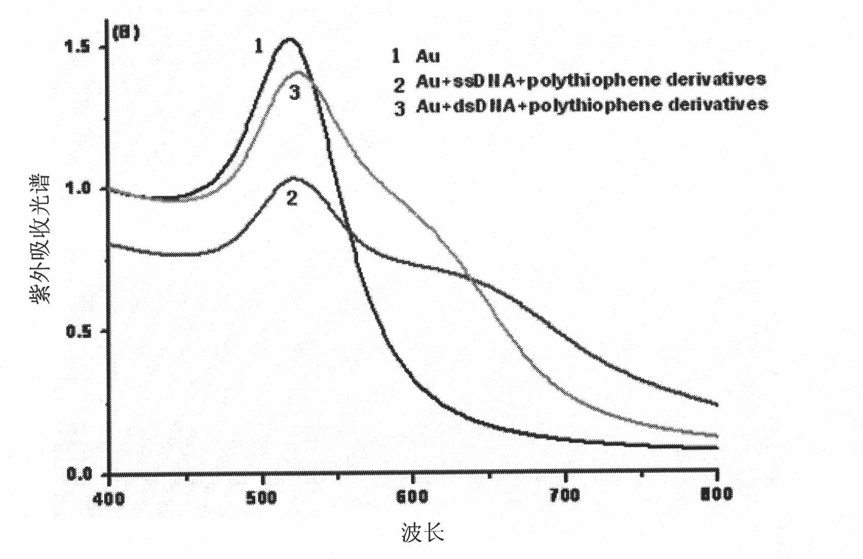 Method of colorimetric detection of target DNA by combining nanometer gold with polythiophene ramification