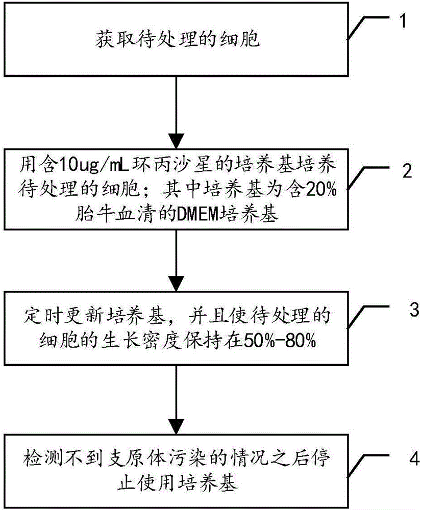 Treatment method of mycoplasma contamination