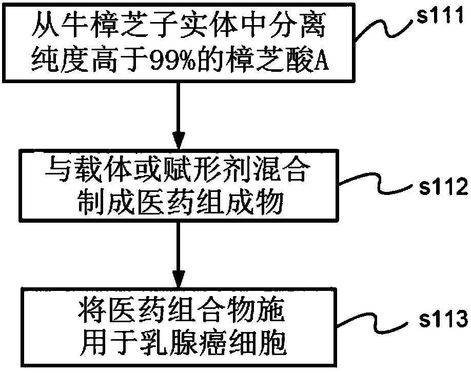 Application of glucocorticoid receptor accelerator antcin A in inhibiting tumorigenesis and metastasis of breast cancer