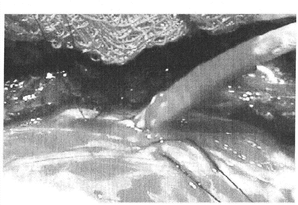 Artificial blood vessel for catalyzing endogenous NO precursor to release NO and preparation method