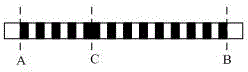 Optical fiber distributed type sound wave monitor system