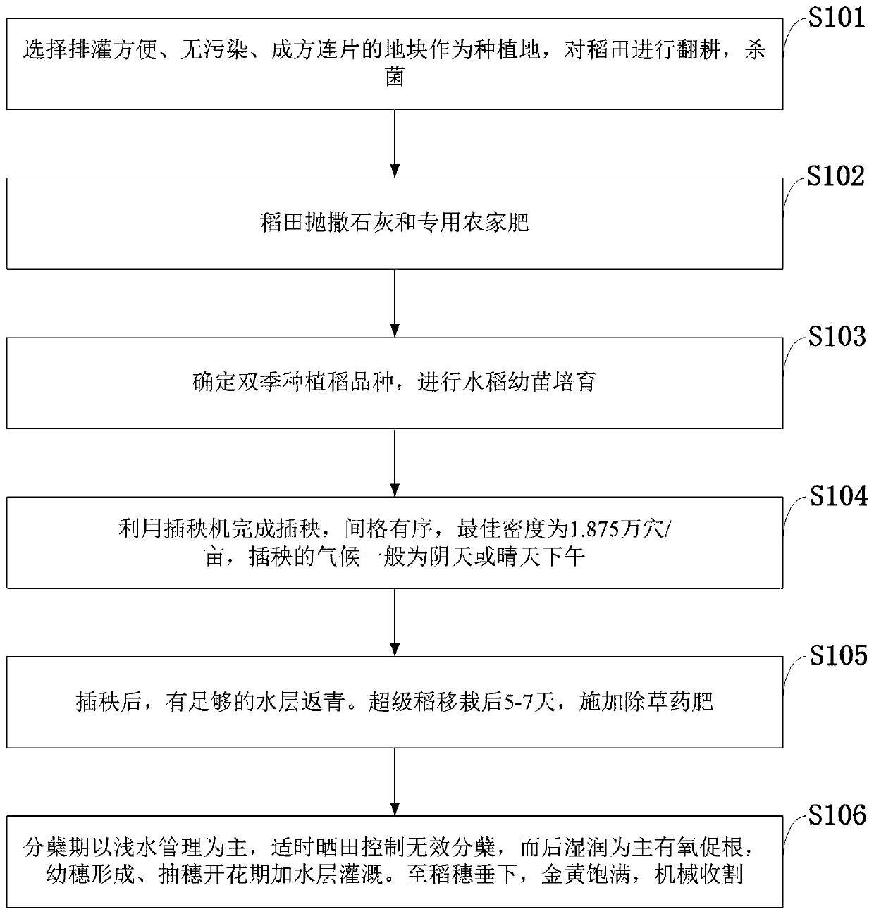 Double cropping super rice high-yield cultivation method