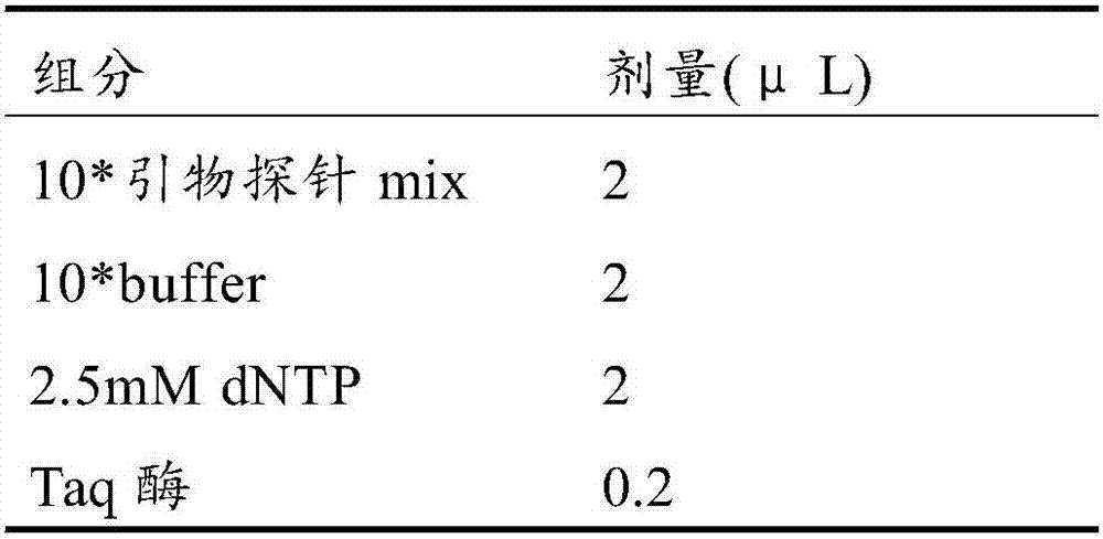 Multiple lung cancer-related gene methylation combined detection kit, multiple lung cancer-related gene methylation combined detection method, and applications of multiple lung cancer-related gene methylation combined detection kit