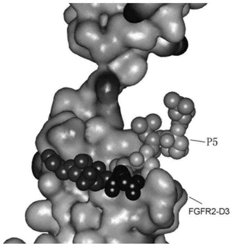 A kind of anti-tumor small molecular polypeptide and its application