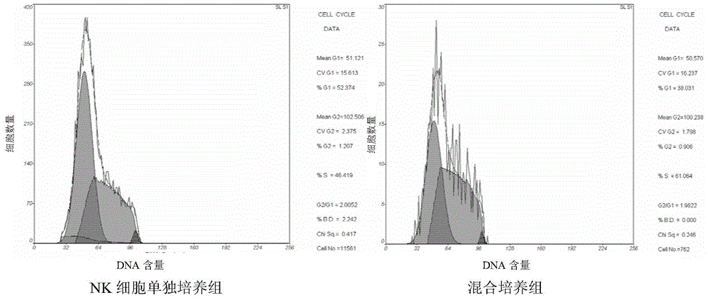 Method for promoting proliferation of NK cell by using CD3+CD8+CD56+T cell subtype