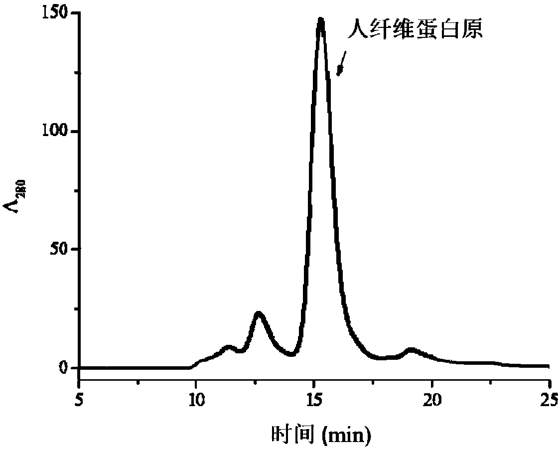 Human fibrinogen preparation method