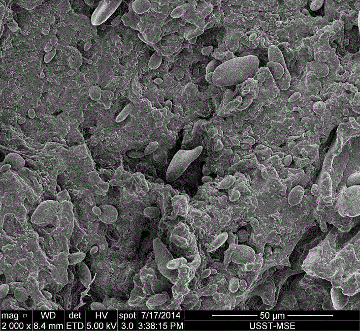 Preparation method of polymer nanocomposite with shape memory